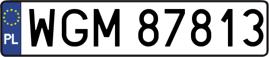 WGM87813