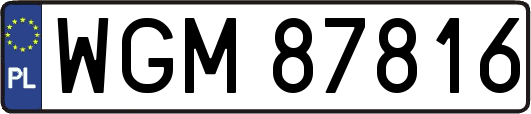WGM87816