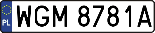 WGM8781A