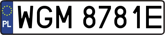 WGM8781E