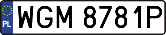 WGM8781P