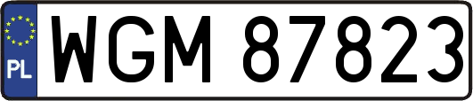 WGM87823