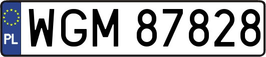 WGM87828