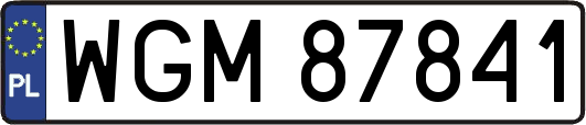 WGM87841
