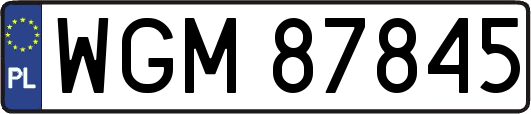 WGM87845