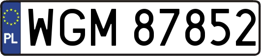 WGM87852
