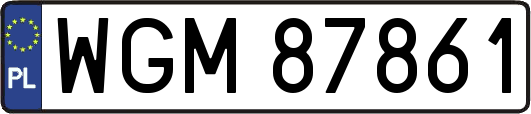 WGM87861