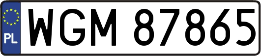 WGM87865