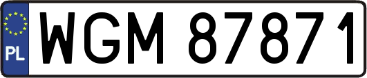 WGM87871