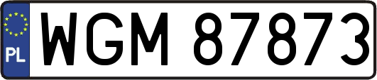 WGM87873