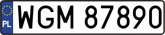 WGM87890