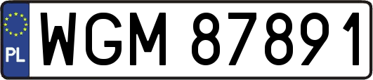 WGM87891