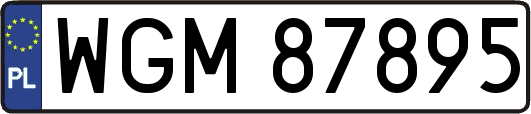 WGM87895