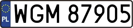WGM87905