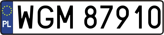 WGM87910