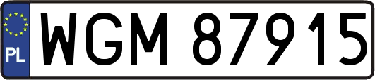 WGM87915