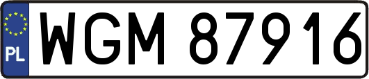 WGM87916