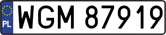 WGM87919