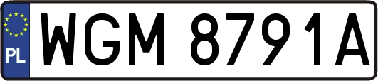 WGM8791A