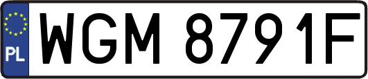 WGM8791F