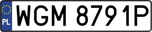 WGM8791P