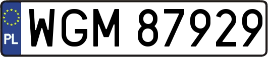 WGM87929