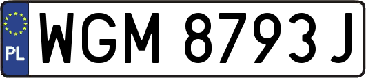 WGM8793J