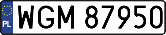 WGM87950