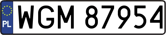 WGM87954