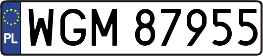 WGM87955