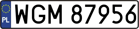 WGM87956