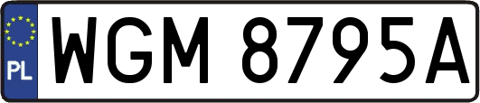 WGM8795A