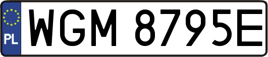 WGM8795E