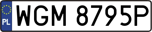 WGM8795P