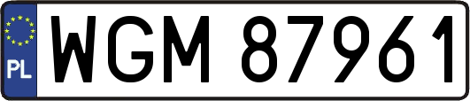 WGM87961