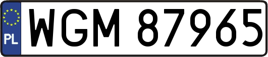 WGM87965