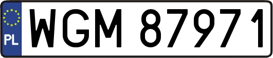 WGM87971