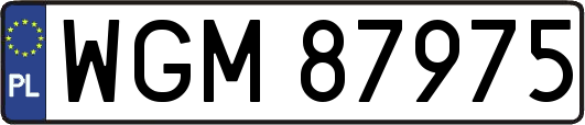 WGM87975
