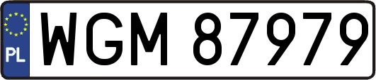 WGM87979