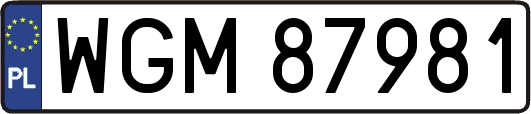WGM87981
