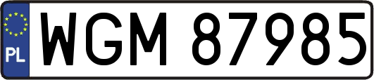 WGM87985