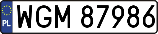 WGM87986