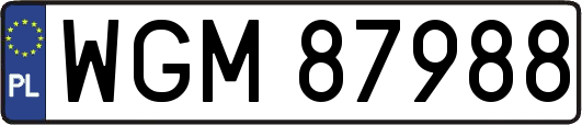 WGM87988