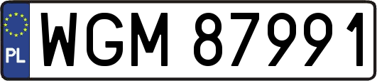 WGM87991