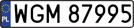 WGM87995