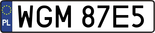 WGM87E5