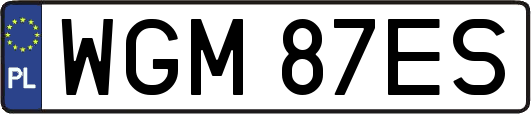 WGM87ES