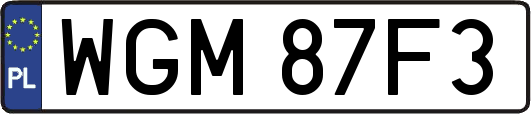 WGM87F3