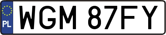 WGM87FY