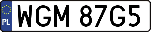 WGM87G5